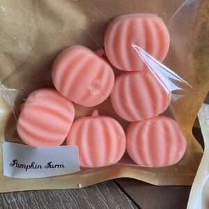 🧡Pumpkin Wax Melts 🧡